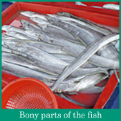 Bony parts of the fish