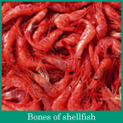 Bones of shellfish
