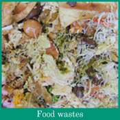 Food wastes